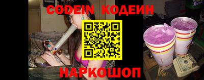 индика Можга
