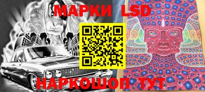 индика Можга