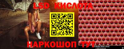 индика Можга