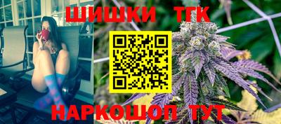 индика Можга