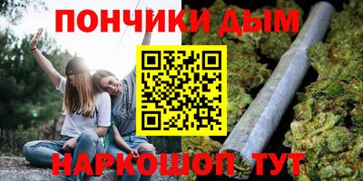 индика Можга