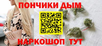 индика Можга