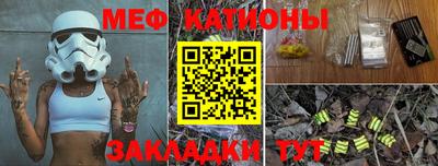 индика Можга
