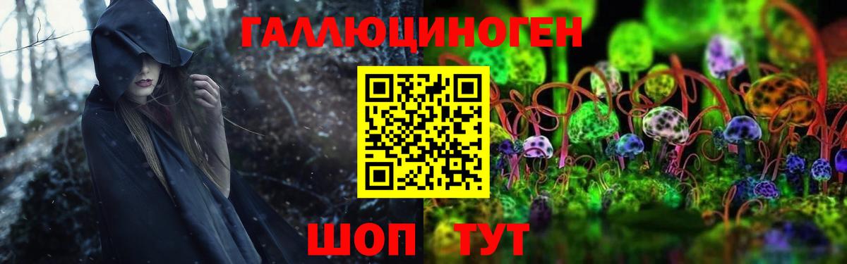 где найти   Галлюциногенные грибы мухоморы  Вход с VPN  Чернушка 